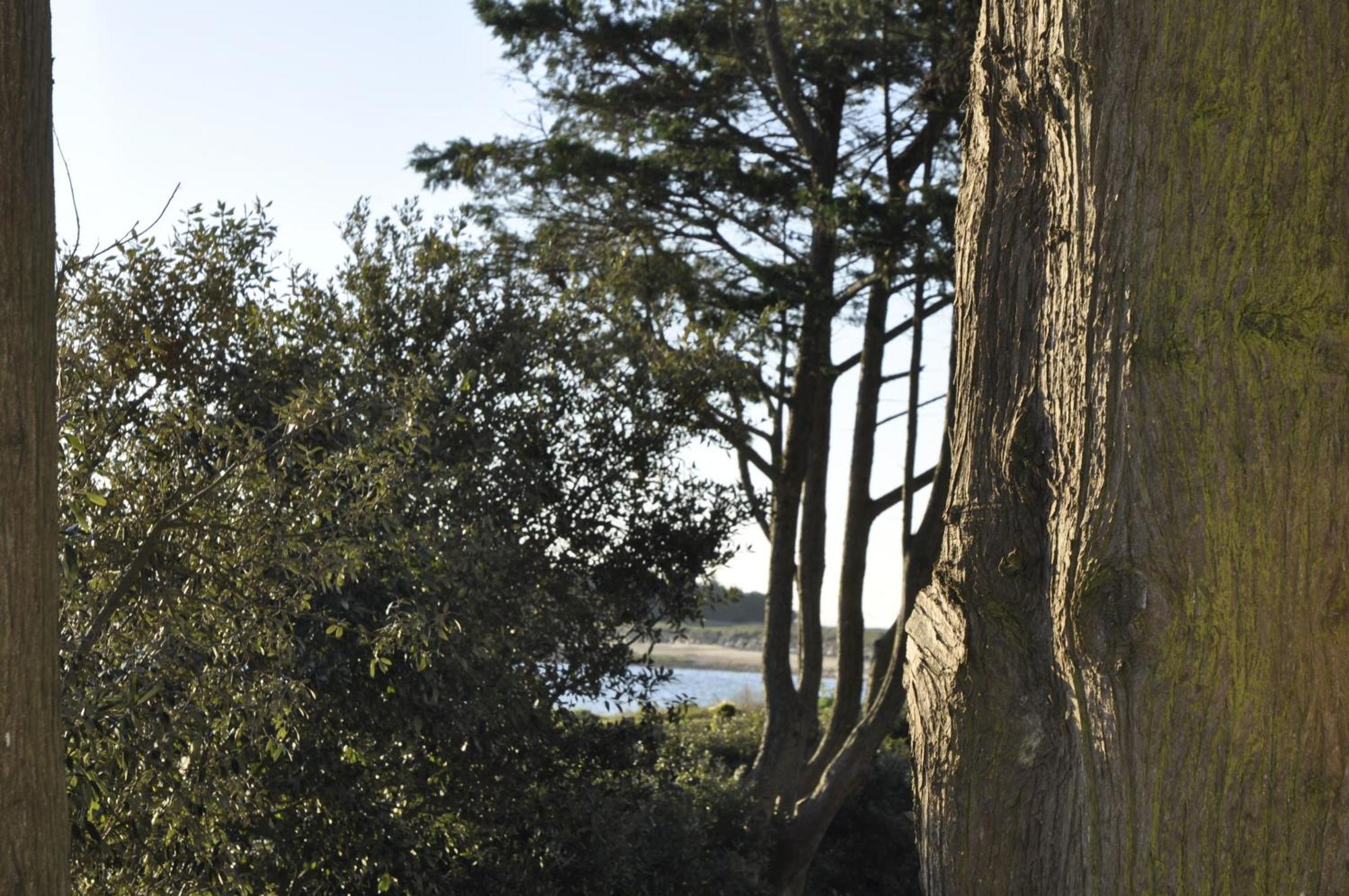 Panorama Vue Mer Quiberon Eksteriør billede